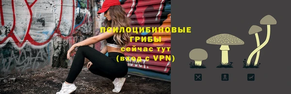 первитин Алексин